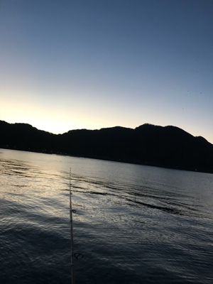 今週は3時間だけのヤリイカ調査