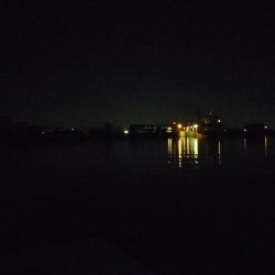 やっぱり1本しか釣れない…