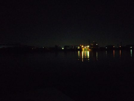 やっぱり1本しか釣れない…