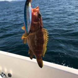 マイボート ジギング