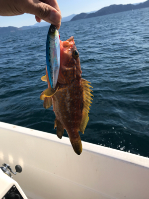 マイボート ジギング