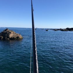 南紀デイエギング