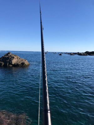 南紀デイエギング