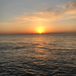 西流れ、激流(;_;)