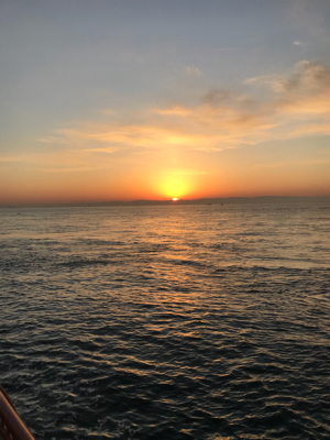 西流れ、激流(;_;)