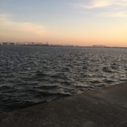 初のノマセ釣り