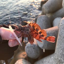 マヅメ攻めるも、、