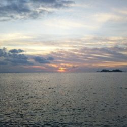 阿南市の那賀川河口でタチウオ