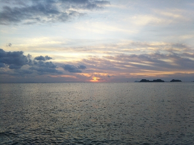 阿南市の那賀川河口でタチウオ