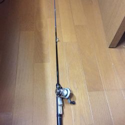 穴釣りで、メバルガシラ！