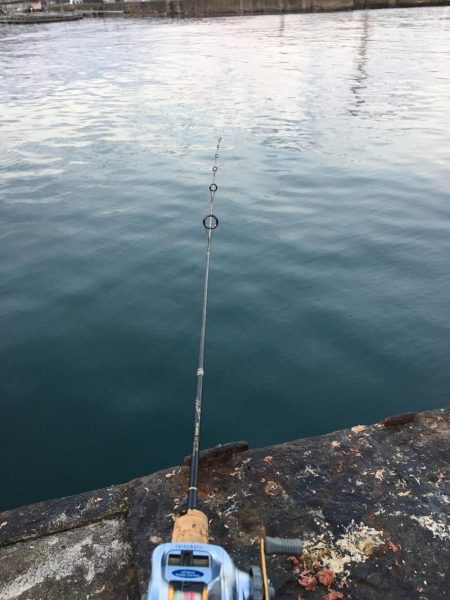 カワハギそろそろ終わりかなぁー！