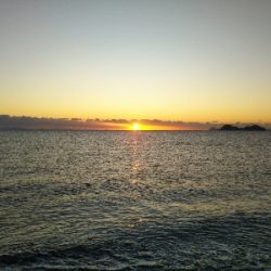 阿南市の那賀川河口でタチウオ