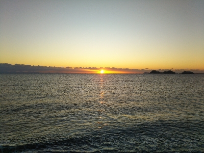 阿南市の那賀川河口でタチウオ