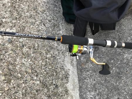 ケーソンタチウオ