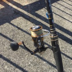 ノマセなぜ飲まない❓