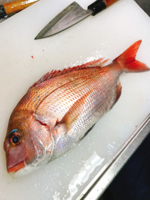加太の三邦丸でアジとカワハギ