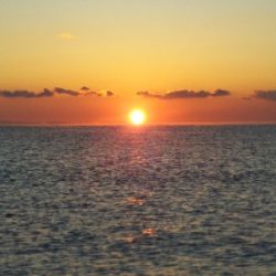 阿南市の那賀川河口でタチウオ