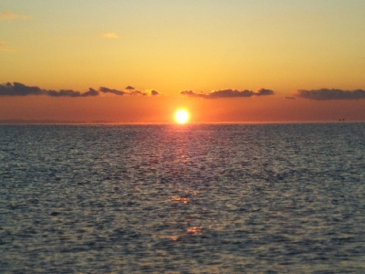 阿南市の那賀川河口でタチウオ