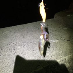 ヒイカナイトゲーム♪