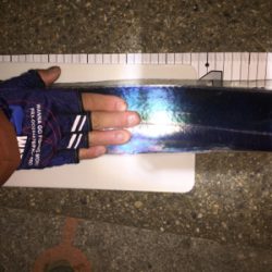 ドラゴンきました‼️