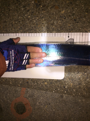 ドラゴンきました‼️