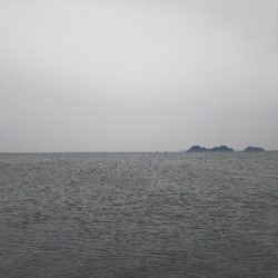 阿南市の那賀川河口でタチウオ