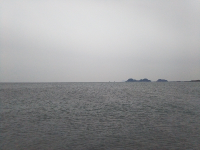 阿南市の那賀川河口でタチウオ