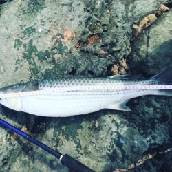 エキサイティングな釣りを楽しむ