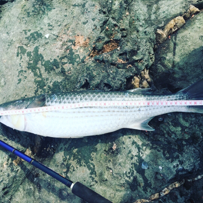 エキサイティングな釣りを楽しむ