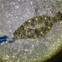 ライトゲーム五目達成