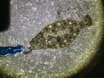 ライトゲーム五目達成