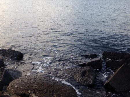 イナダ回遊有り