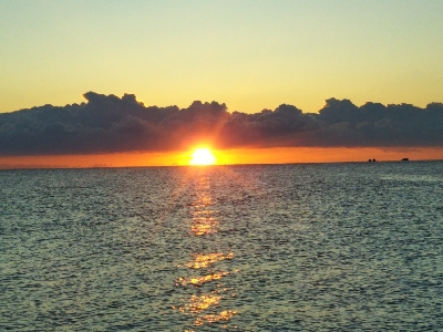 阿南市の那賀川河口でタチウオ