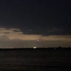 ドラゴン求めて(´༎ຶོρ༎ຶོ`)