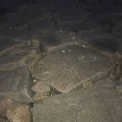 これからの季節の楽しみ！