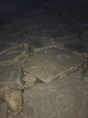 これからの季節の楽しみ！