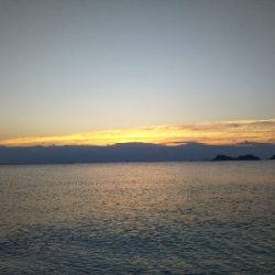 阿南市の那賀川河口でタチウオ