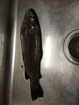 芥川渓流釣り場