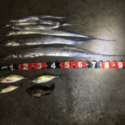 沖堤防のち舞洲へ