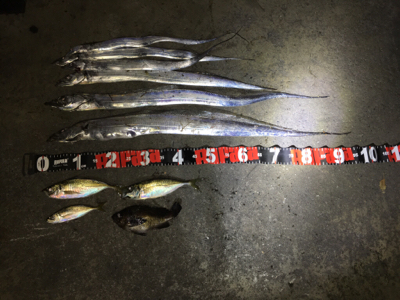 沖堤防のち舞洲へ