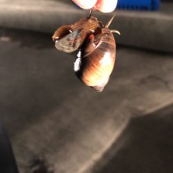 カレイを釣りに行ったけど…