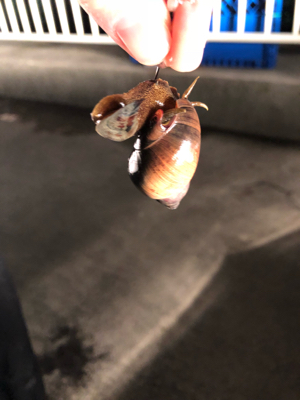 カレイを釣りに行ったけど…