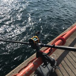 う〜〜ん、風邪と潮のタイミングが…