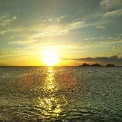 阿南市の那賀川河口でタチウオ