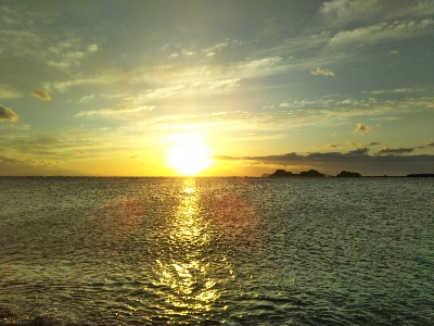 阿南市の那賀川河口でタチウオ