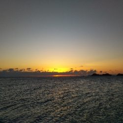 阿南市の那賀川河口でタチウオ