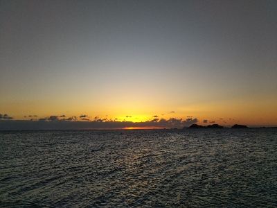 阿南市の那賀川河口でタチウオ