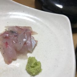 今年最後かもからの