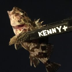 やっと風がおさまりました。