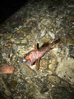 メバリングからの〜